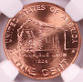 2009-D "Birth and Childhood" 1c MS66 RD NGC Lincoln Cent 2009-D "Birth and Childhood" 1c MS66 RD NGC Lincoln Cent