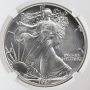 1987 American Silver Eagle NGC MS69 $1 1987 American Silver Eagle NGC MS69 $1