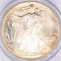 1993 9-11-01 WTC Ground Zero Recovery Silver Eagle Dollar PCGS Gem Uncirculated $1 1993 9-11-01 WTC Ground Zero Recovery Silver Eagle Dollar PCGS Gem Uncirculated $1